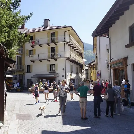 Casaborgovecchio Larice