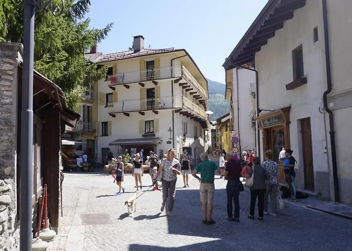 Casaborgovecchio Larice