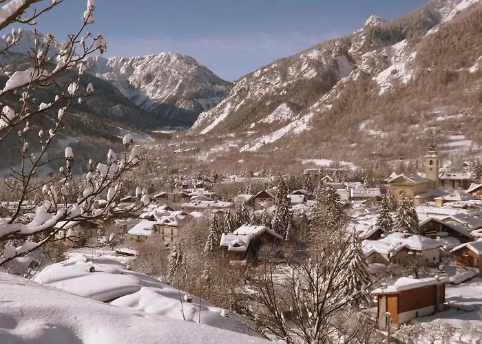 Casaborgovecchio Larice *